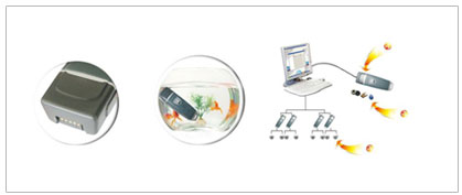 Guard Patrol and Monitor System in Chennai, Guard Patrol and Monitor System in Chennai, Guard Patrol and Monitor System in Chennai, Guard Patrol and Monitor System in Chennai.
 